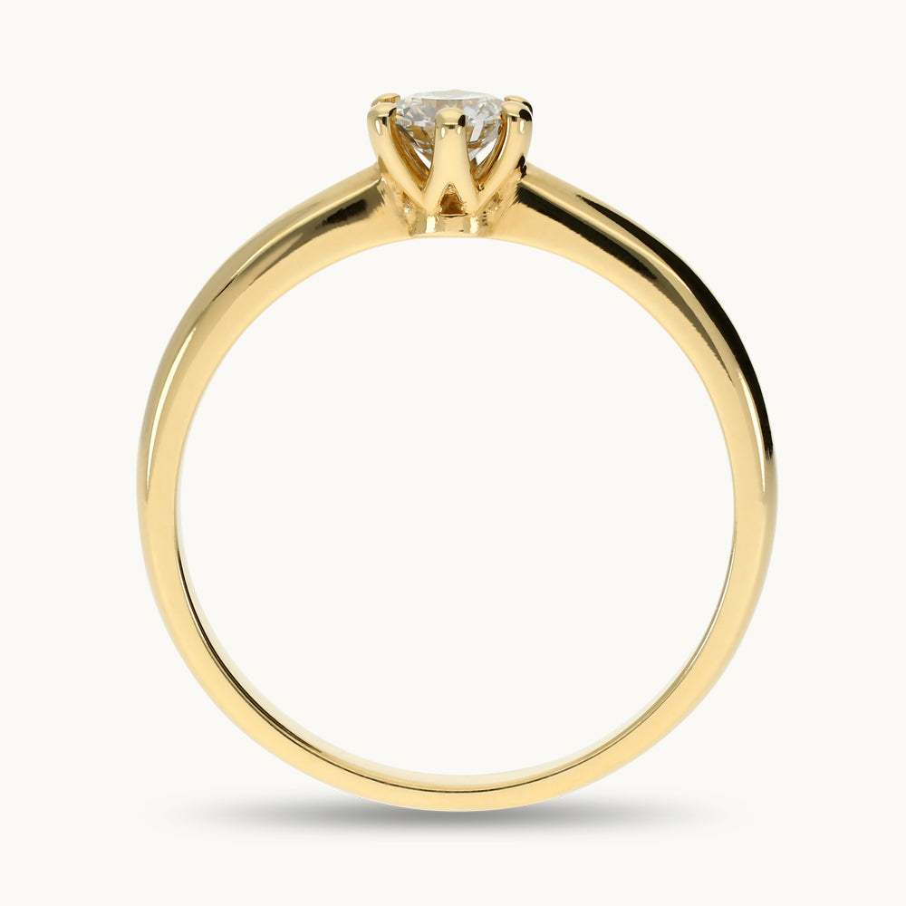 Edition Ring I19/20G