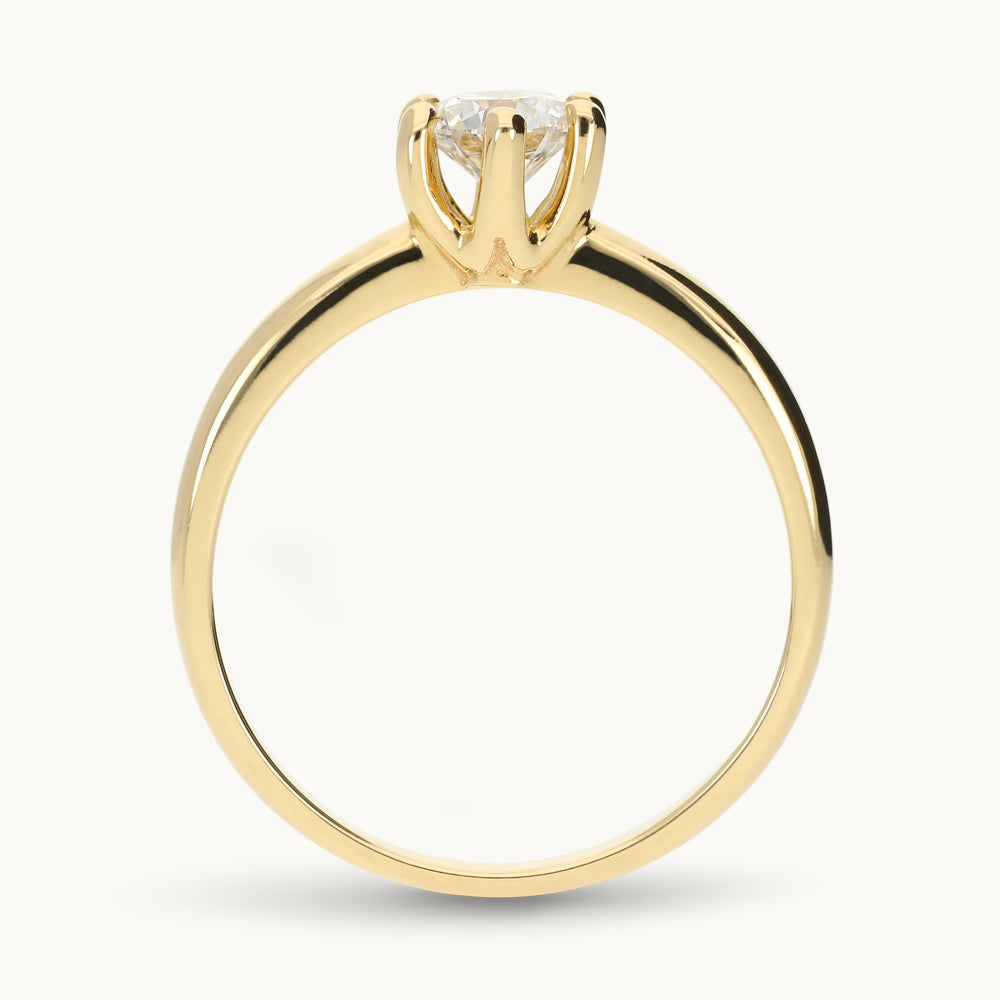 Edition Ring I19/50G