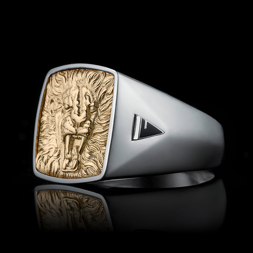 TYPAR Silber x LION TAG Gold