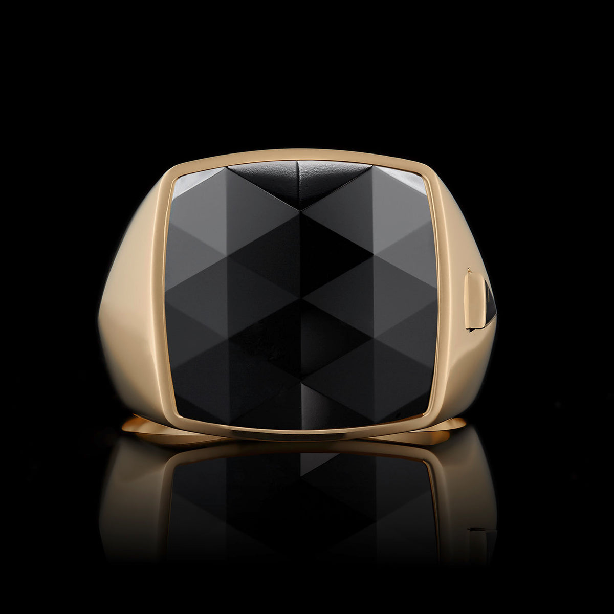 TYPAR x ICON CUT ONYX TAG Gold