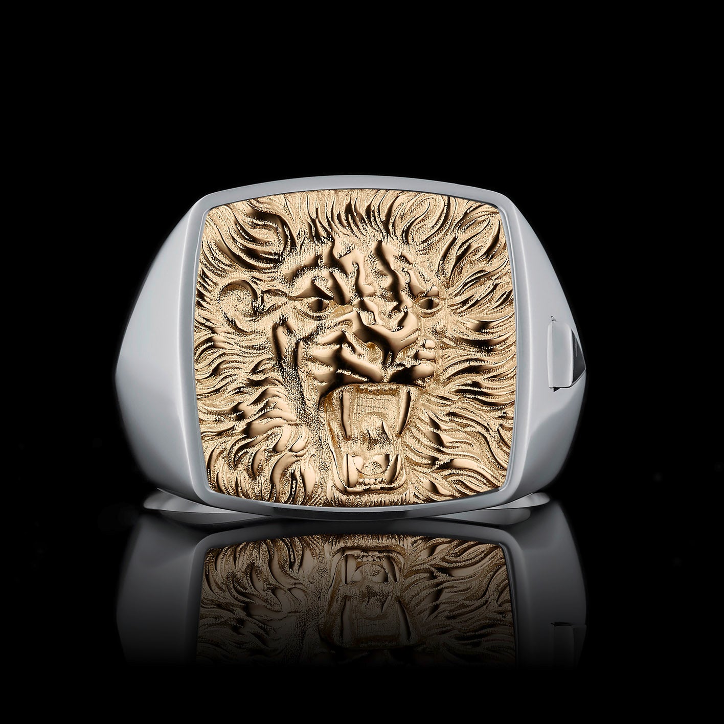 TYPAR Silber x LION TAG Gold