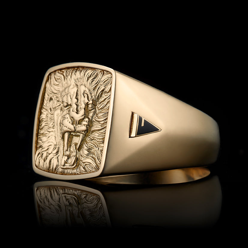 TYPAR x LION TAG Gold