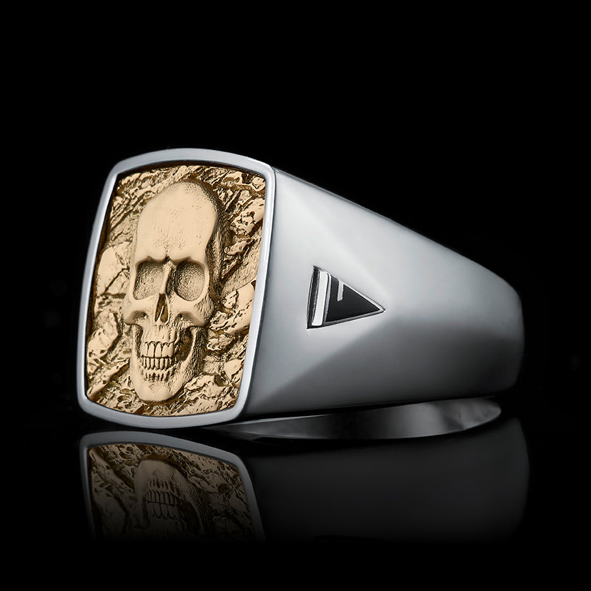 TYPAR Silber x SKULL TAG Gold