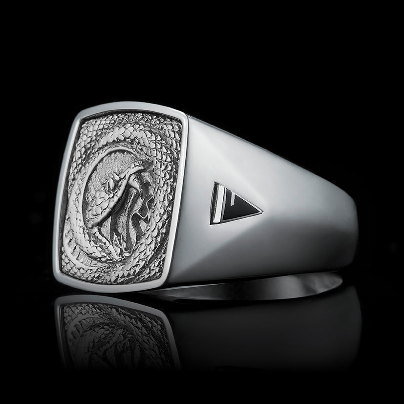 TYPAR x VIPER TAG Silber