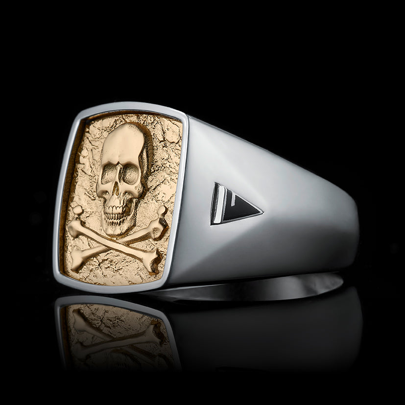 TYPAR Silber x CROSSBONE SKULL TAG Gold