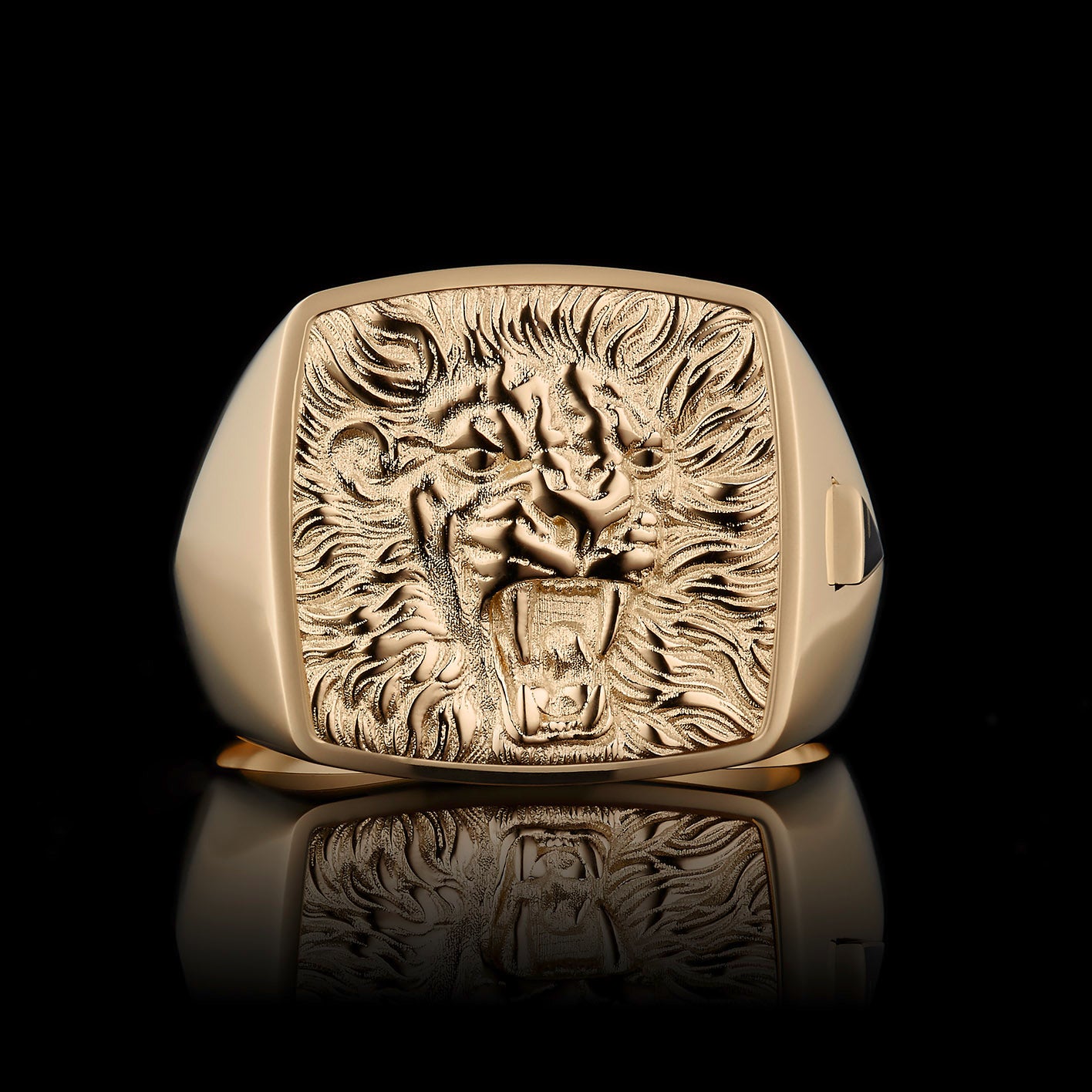 TYPAR x LION TAG Gold