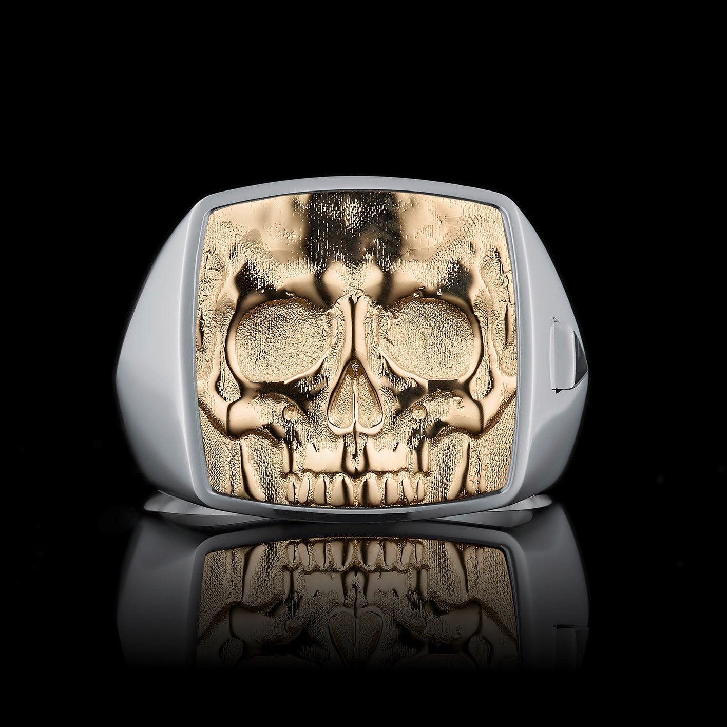 TYPAR Silber x BIG SKULL TAG Gold