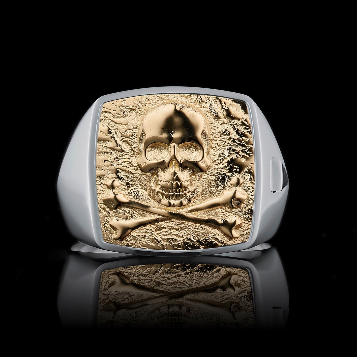 TYPAR Silber x CROSSBONE SKULL TAG Gold