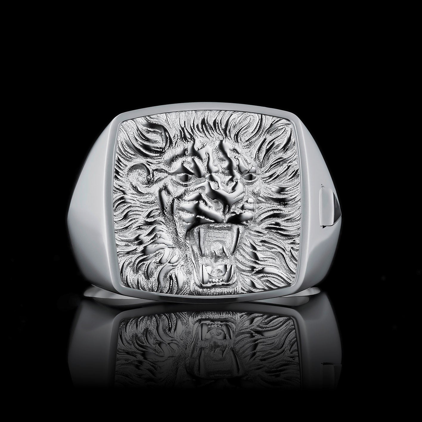 TYPAR x LION TAG Silber