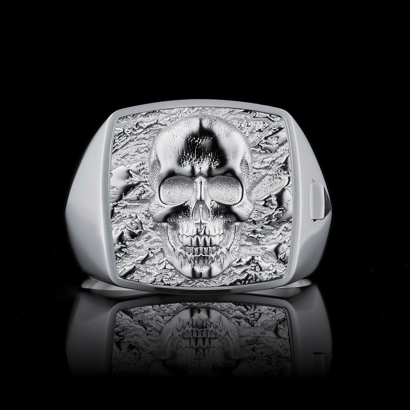 TYPAR x SKULL TAG Silber