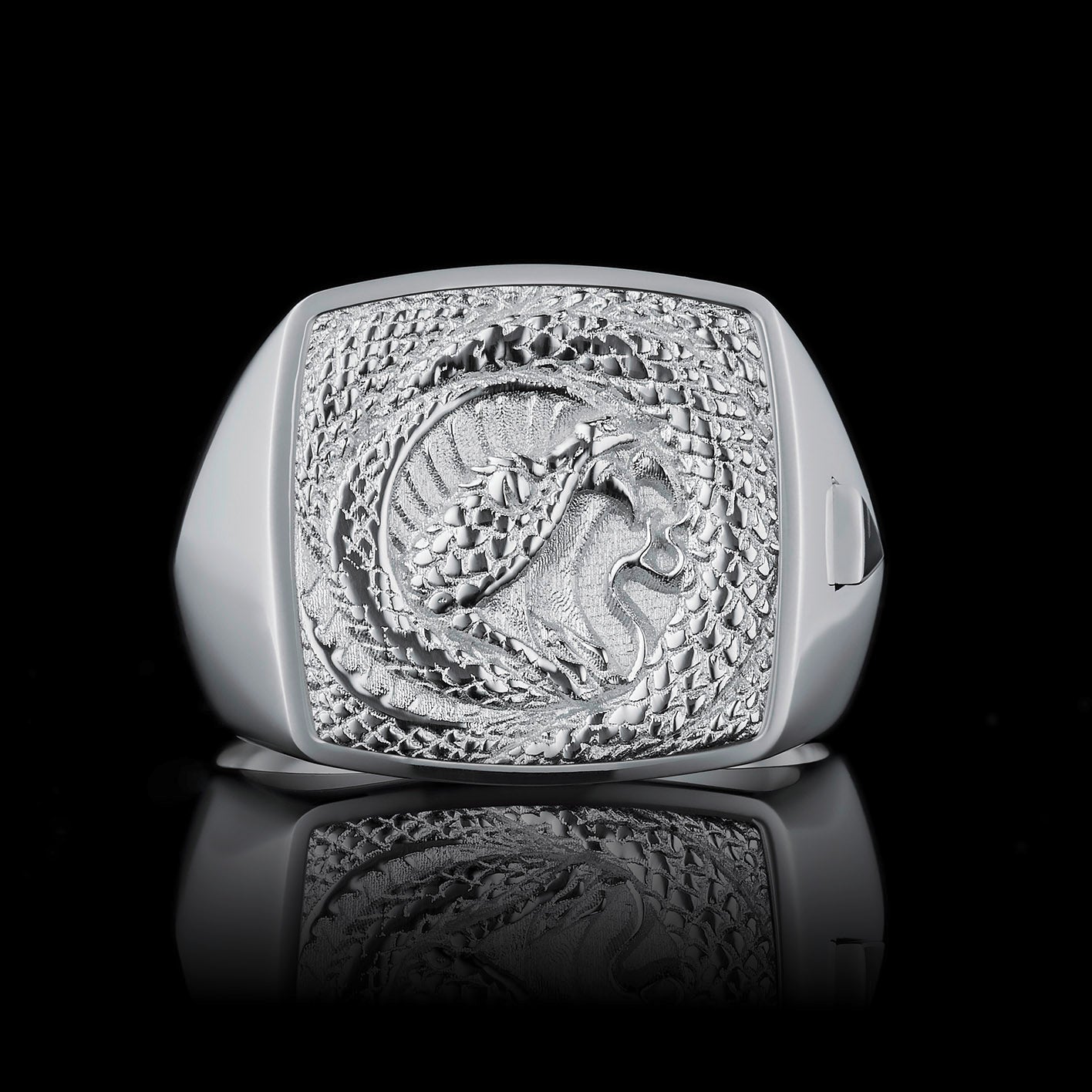 TYPAR x VIPER TAG Silber