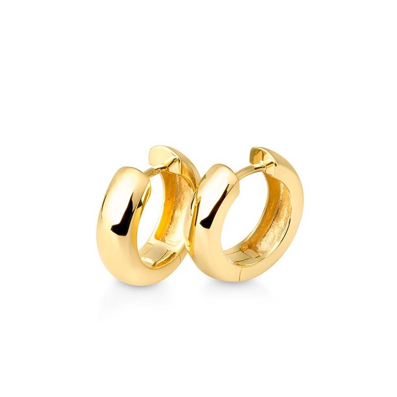 Essentials Ohrschmuck 03702G